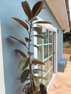 บ้านพอดีโฮมสเตย์ทองผาภูมิ -กาญจนบุรี - 0