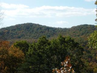 Holiday mountain log cabin - Luray - 1