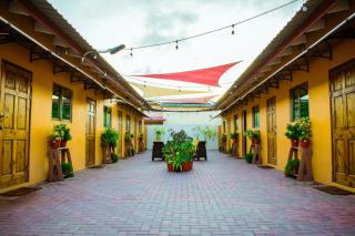 Bubali V - Palm-Eagle Beach - 7
