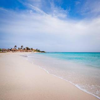 Bubali V - Palm-Eagle Beach - 2