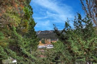 Encino Pine Cabin Moonridge - Big Bear Lake - 3