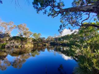 Severn River Cottages - Severnlea - 4