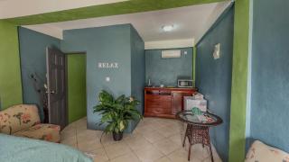 Lushes Lodge unit 3 - Vieux Fort - 8