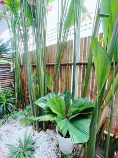 BaPhu Apartment - 5BR - 5 mins walk to My Khe beach - Da Nang - 4