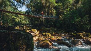 Grajagan Mata Atlântica - Antonina - 5