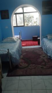 162 Rruga siri Kodra Tirana Albania - Tirana - 5