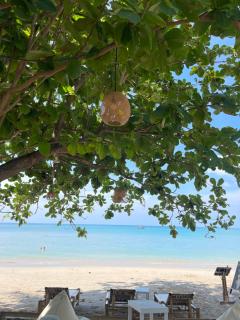 De Hope Kohlanta - 2