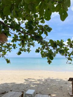 De Hope Kohlanta - 3