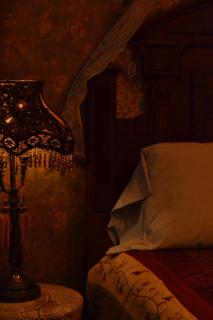 Carleton House Bed and Breakfast - Bonham - 7