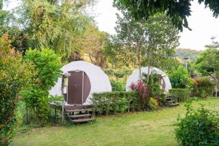 lion resort & cafe - Ban Huai Sieo - 1
