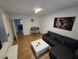 Große moderne Ferienwohnung, zentrale ruhige Lage - Kassel - 4