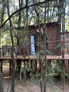 Luxury Tranquil Treehouse & Hot Tub - 6