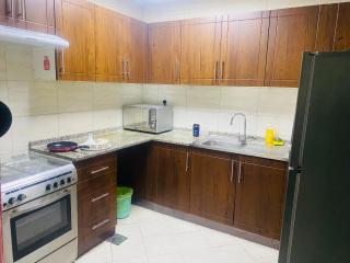 Modern comforts of 311 to Dubai - Ajman - 2