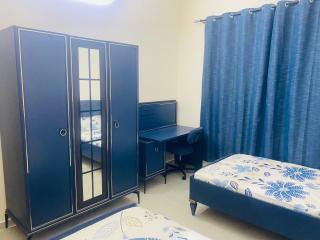 Modern comforts of 311 to Dubai - Ajman - 1