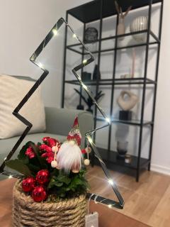 Apartment Paris, WIFI, CITY - Krefeld - 2
