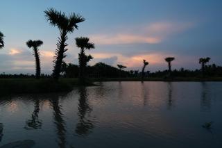 Thala Tra Vinh - Trà Vinh - 3