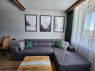 Pine & Wine Bathtub Apartment - Pamporovo - 9