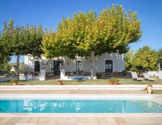 Finca Olivo Llorón - Montilla - 8