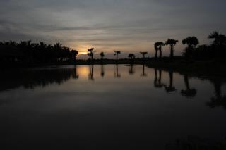 Thala Tra Vinh - Trà Vinh - 1