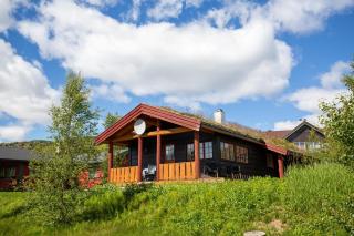 Nostalgic Cabin with 3 BR, Fireplace, and Terrace - Beitostøl - 0