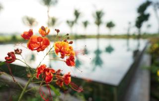 Thala Tra Vinh - Trà Vinh - 2