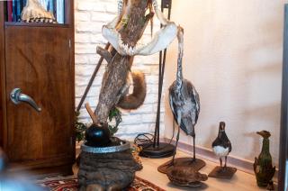 Loft atypique avec bowling pour 12 voyageurs, cabinet des curiosités - La Riche - 6