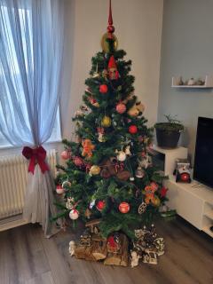 Appartement Au Cigogneau Wifi-Netflix-Balcon-Parking - 0