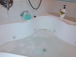 Cheerful Bush House - 3