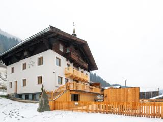 Bauenhaus with swimming pond and hot tub - 0