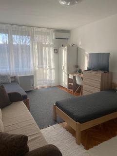 Központi apartman - Kiskunfélegyháza - 9