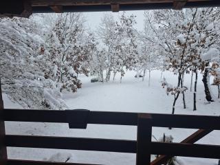 De Luxe mobilna kuća Kijani, 44m2 - 8