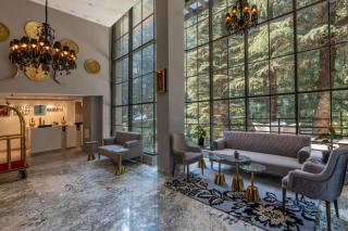 Mastiff Select Mandavya Dharamkot, McLeodganj - 8