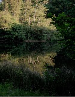 Château Caillivet au cœur d'un vignoble Bio 14 personnes - Mazères - 4
