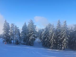 Pogled Contra - Kopaonik - 4
