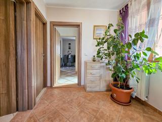 Stefi 1 - Crveni Vrh - 8