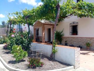 Alojamiento Rural Casilla Miguelin - Montilla - 8