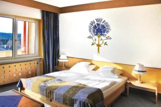 WAGNERS Hotel Schönblick, C&C Hotels und Vertrieb GmbH - Fichtelberg - 3