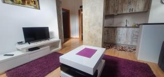 Apartman Veki Zlatibor - Zlatibor - 6