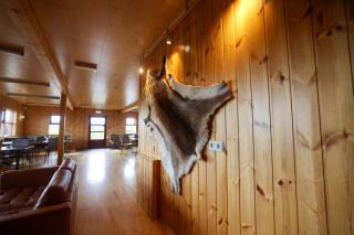 Laugarfell Accommodation & Hot Springs - Laugarfell - 4
