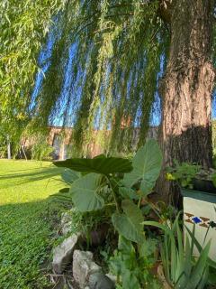 Chalet espectacular - 7