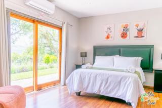 The Orange Tree Guest House - Nelspruit - 0
