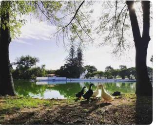 Casa con Alberca para 12 personas en Club de Golf el Cristo - Atlixco - 1