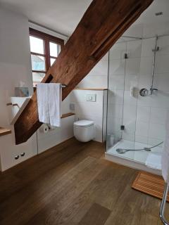 Hotel Bergstüble im KMH - St. Blasien - 2