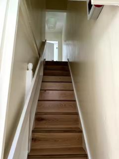 Downshire Haven - Holywood - 2