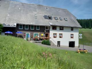 Gasthaus-pension zum Löwen - Grafenhausen - 2