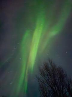 Tønsvik Panorama - 8