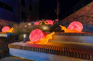 Emily Magic Hostel - 6