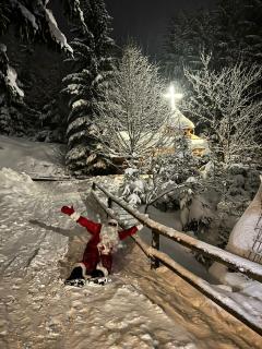 Cabanele Silvania - Borsa - 1