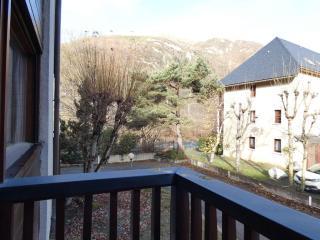Charmant studio à 1er étage, 4 pers., balcon, salle fitness, park, ski, jacuzzi - St Lary Soulan - FR-1-457-252 - Vignec - 2