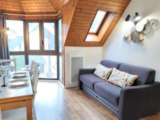Charmant T2 Sud avec Bow-Window, TV, Kitchenette Équipée, Muscu, Sauna, Jacuzzi—Proche St-Lary Soulan - FR-1-457-284 - Vignec - 0